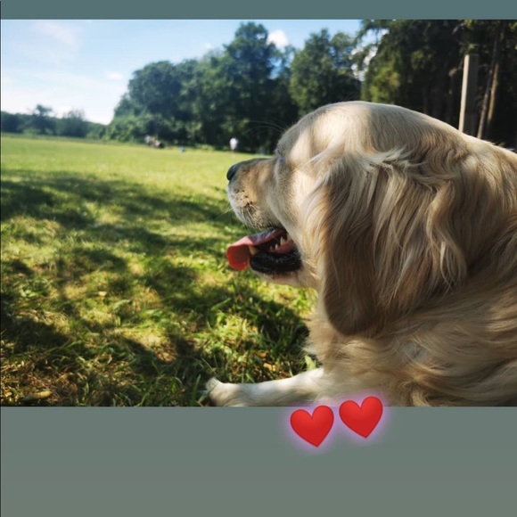 Meet your Posher, Stephanie - Picture 1 of 1